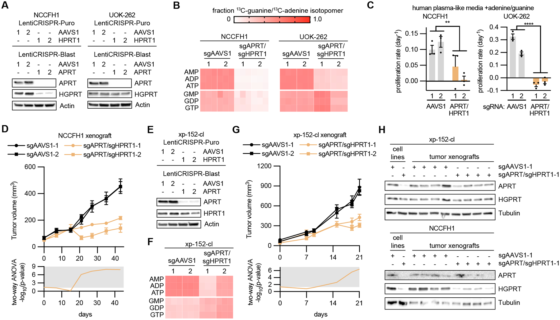 Fig 6: