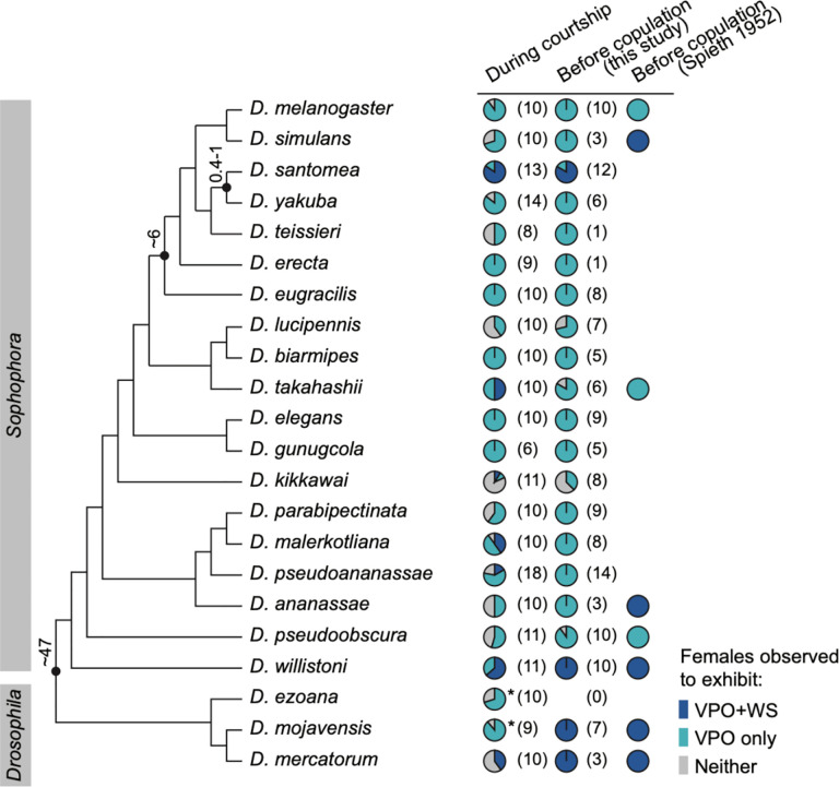 Fig. 6: