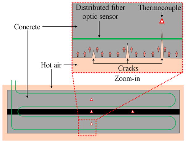 Fig. 8