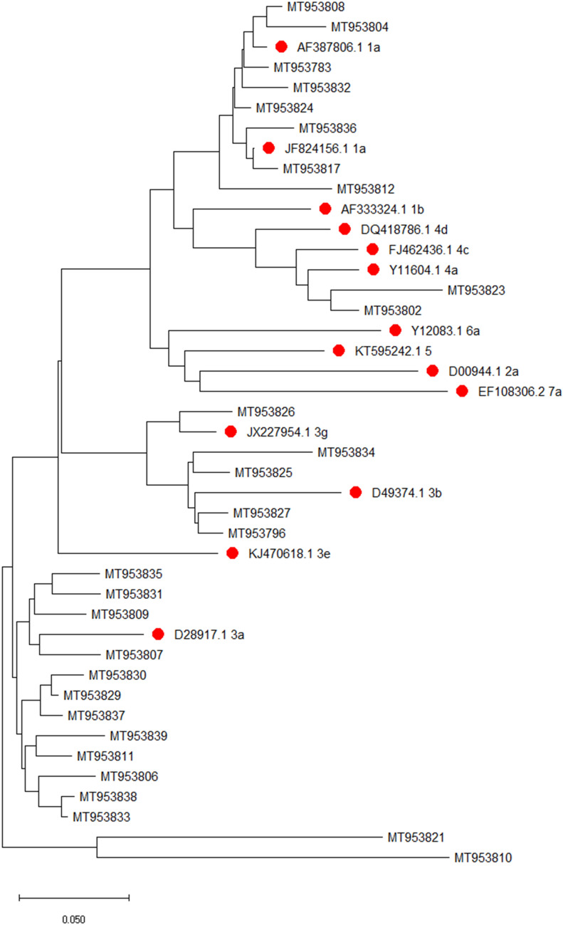 Fig.1
