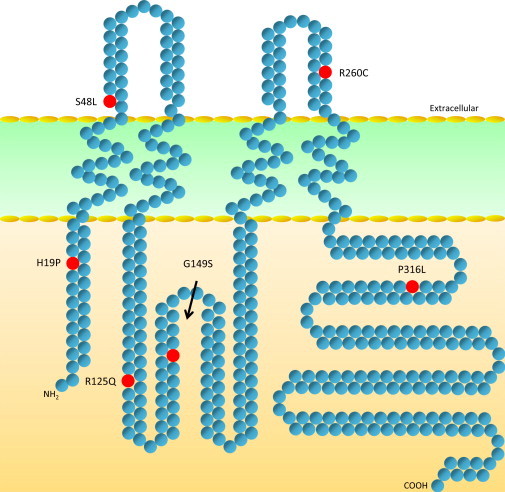 Figure 2