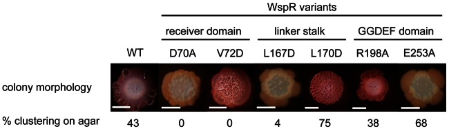 FIG 3 