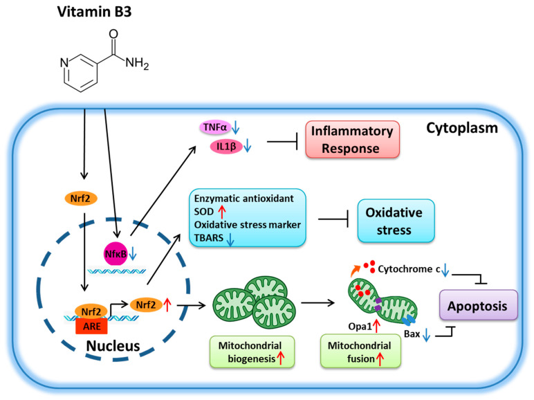 Figure 7