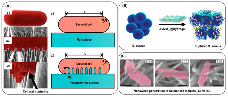 Figure 7