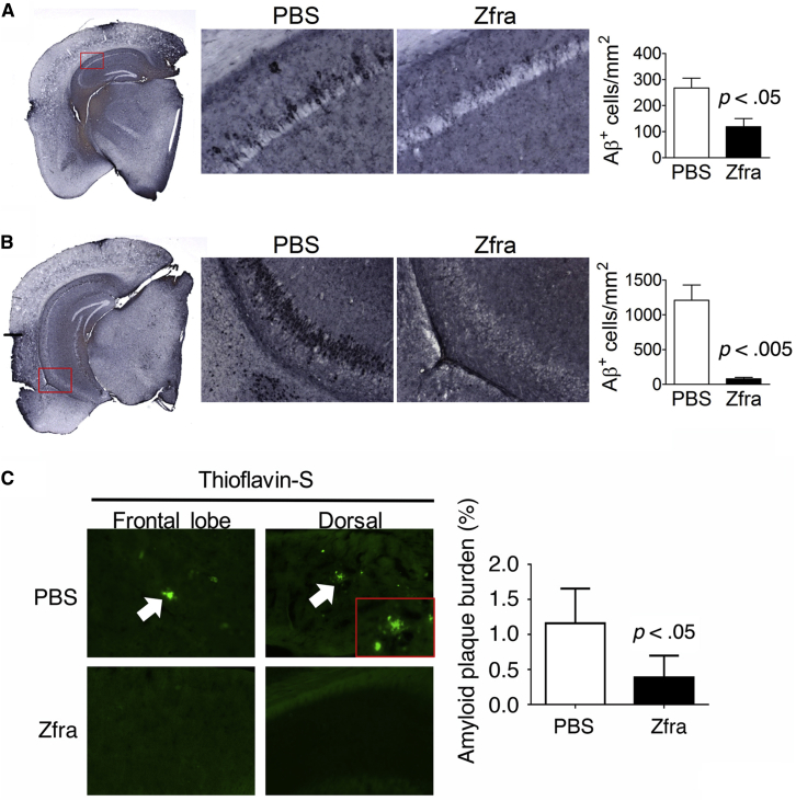 Fig. 2