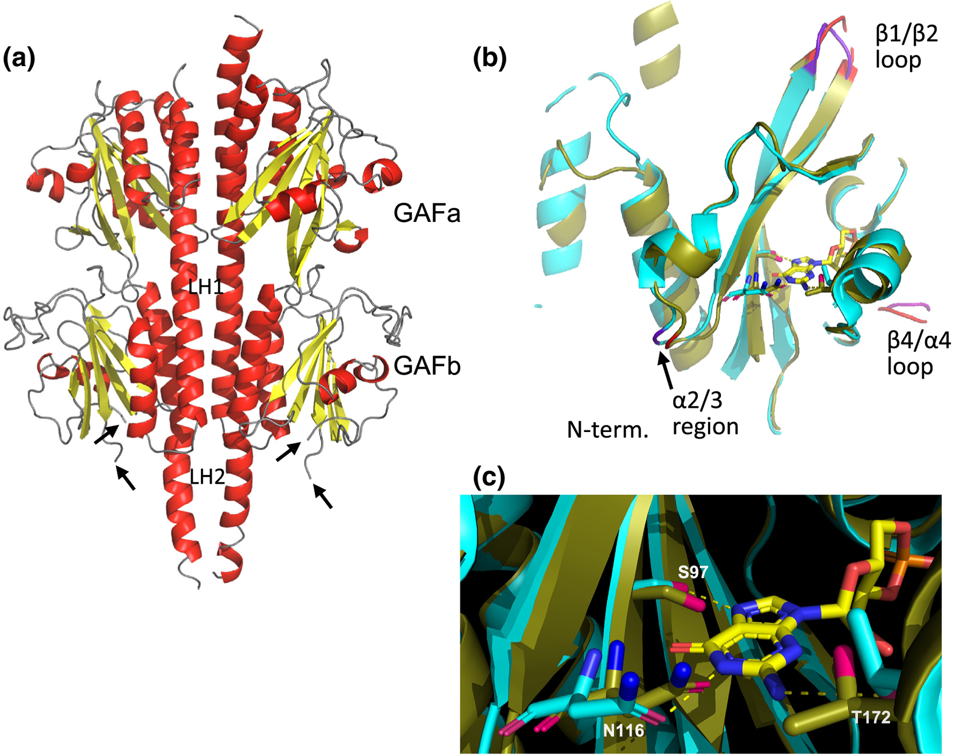 Figure 2.