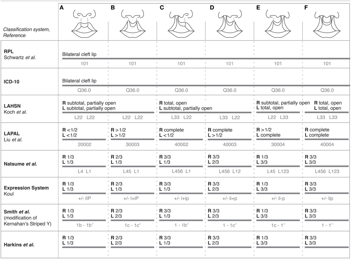 graphic file with name fphys-05-00163-i0003.jpg