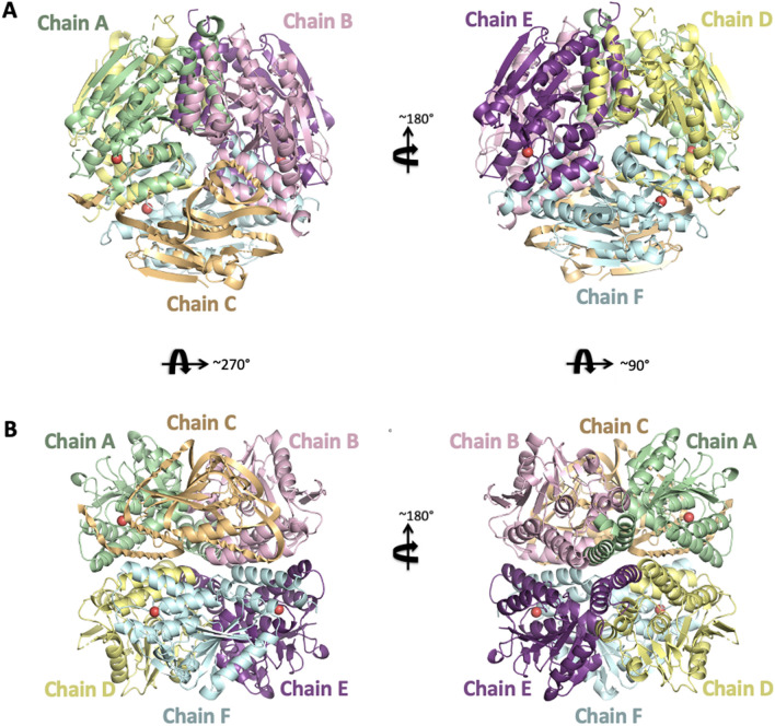 Figure 2