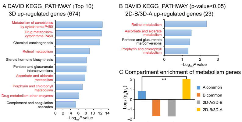 Supplementary Figure S6