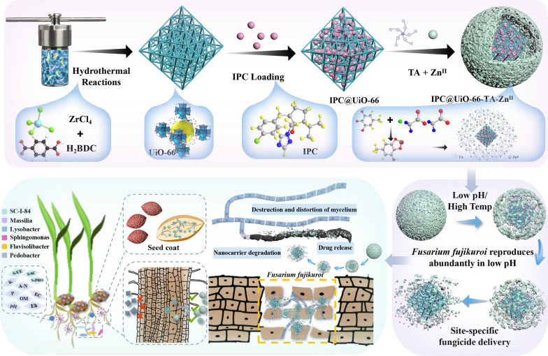 graphic file with name 12951_2024_2938_Figa_HTML.jpg