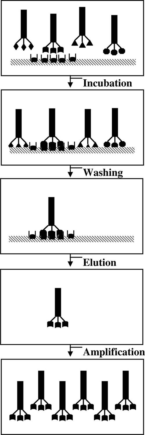 FIG. 2.