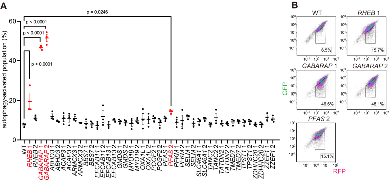 Figure 2