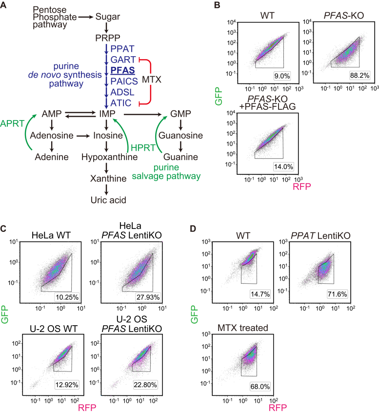 Figure 3