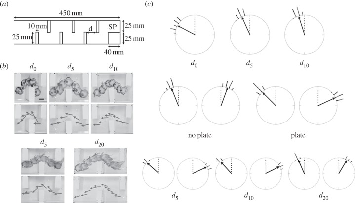 Figure 2.