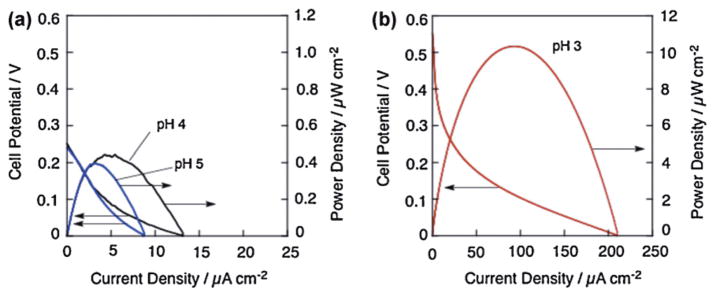 Fig. 18