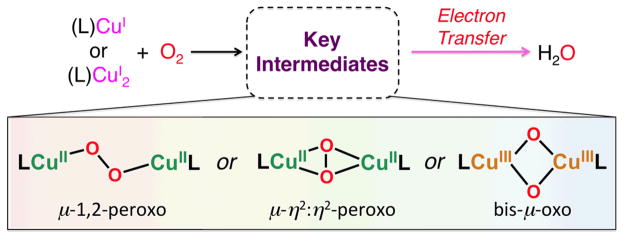 Scheme 10