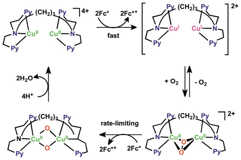 Scheme 7