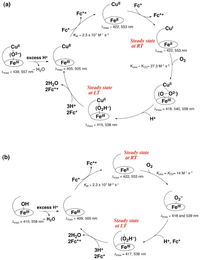 Scheme 5