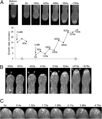 Fig. 4.