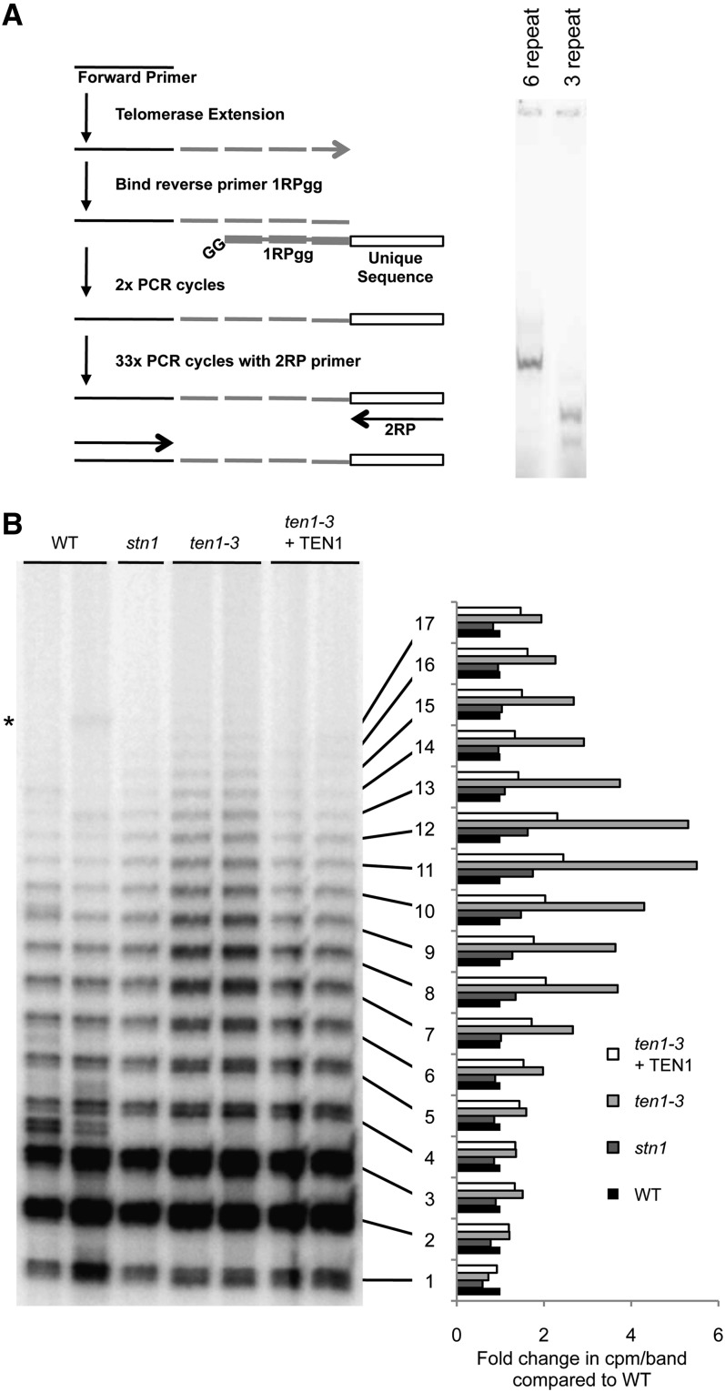 Figure 7.