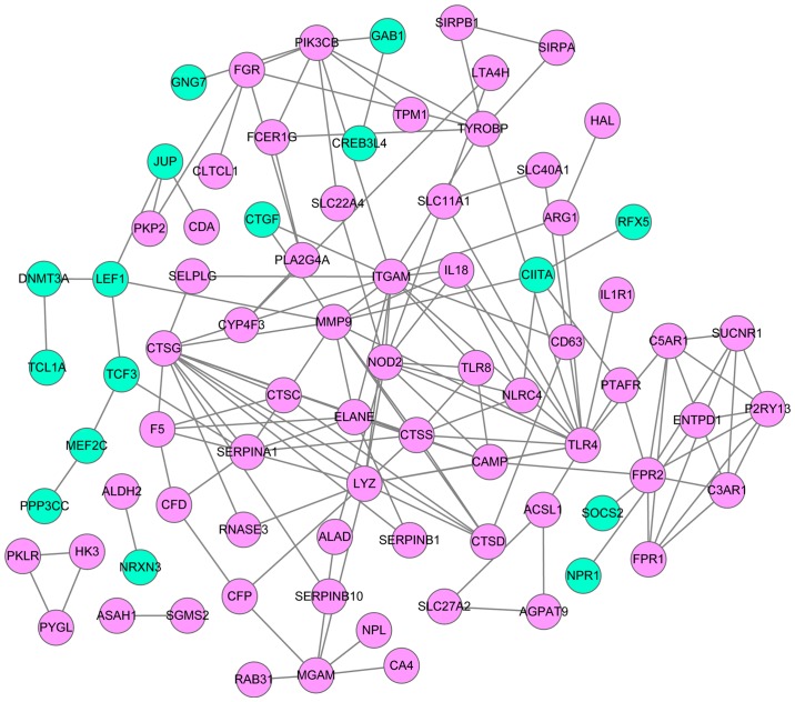 Figure 4.