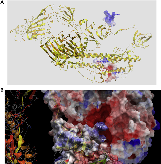 Figure 3