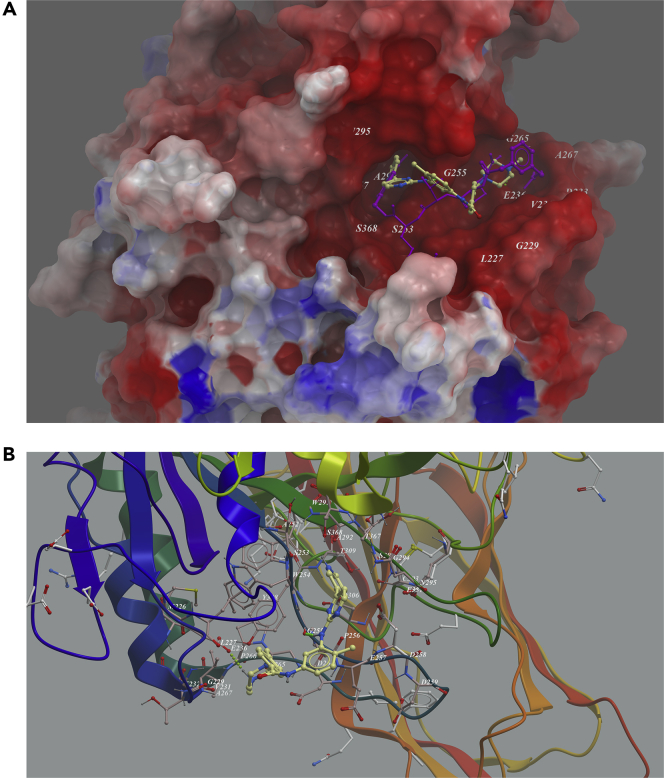 Figure 5