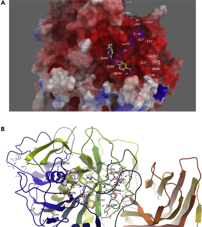 Figure 4