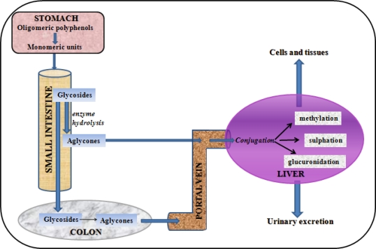 Figure 2.