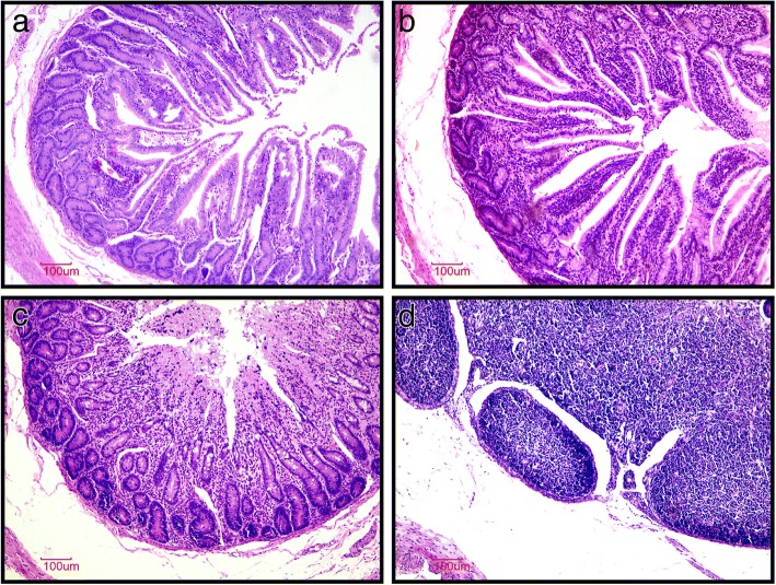 Fig. 5