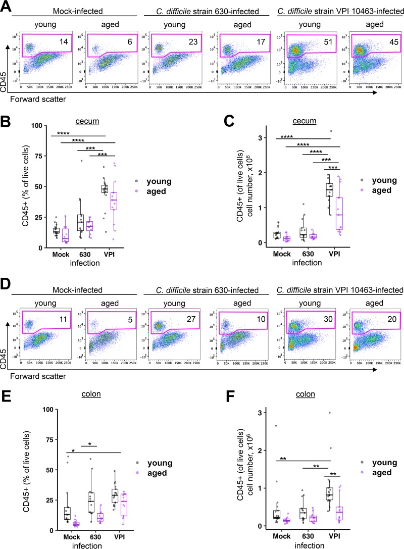 FIG 3