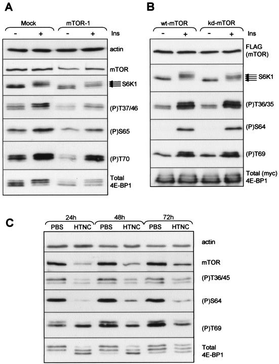 FIG. 5.