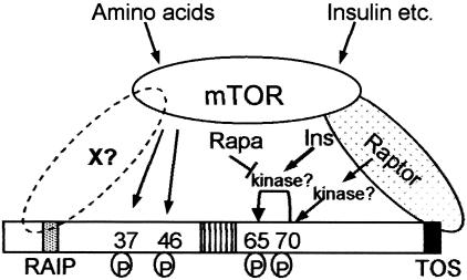 FIG. 7.