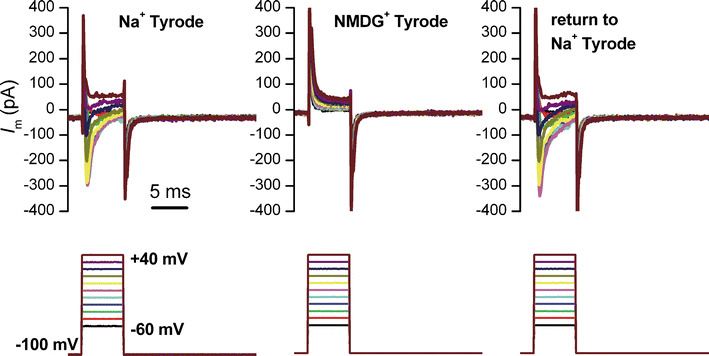 Fig. 3