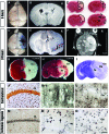 Figure 2-6925