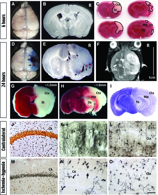 Figure 2-6925