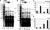 Figure 5-6925