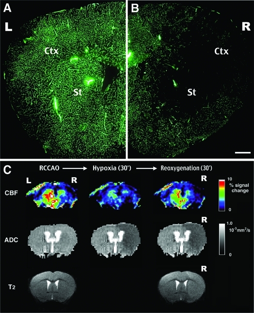 Figure 4-6925