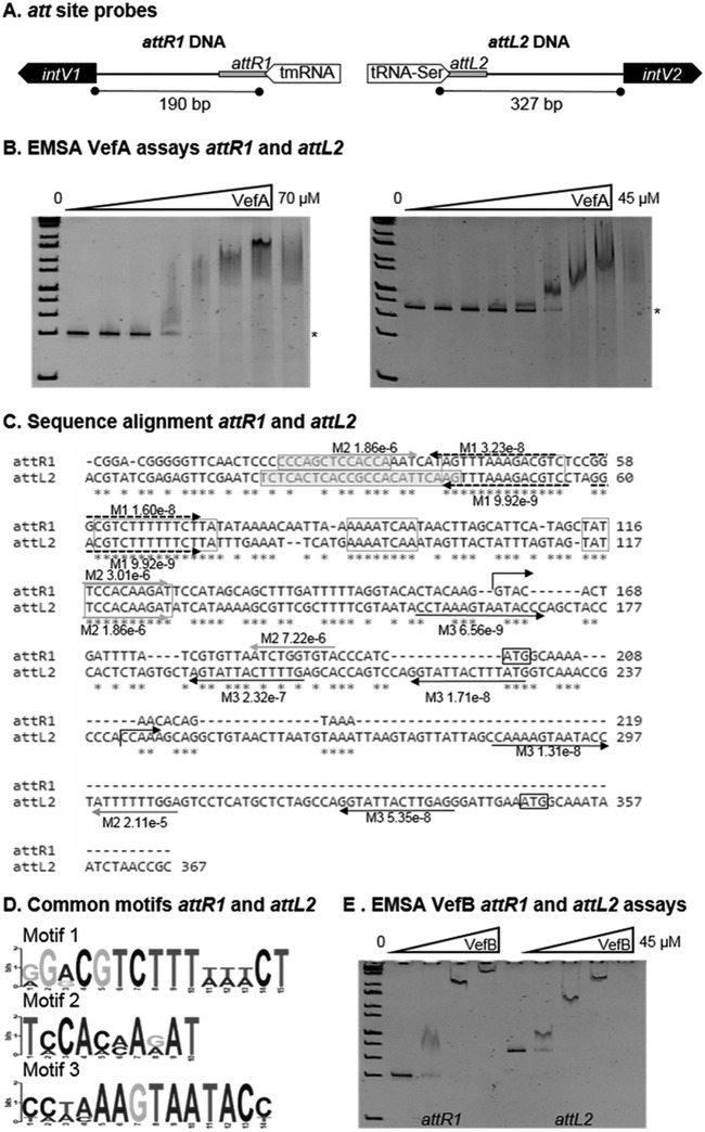 FIG 5