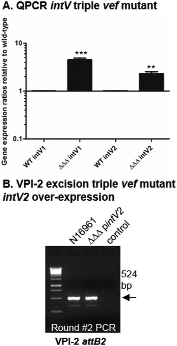 FIG 4