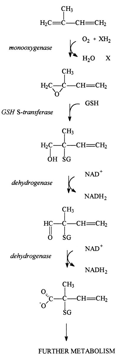 FIG. 7