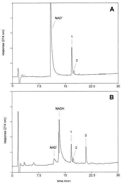 FIG. 6