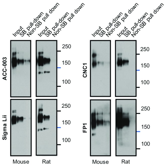 Figure 10. 