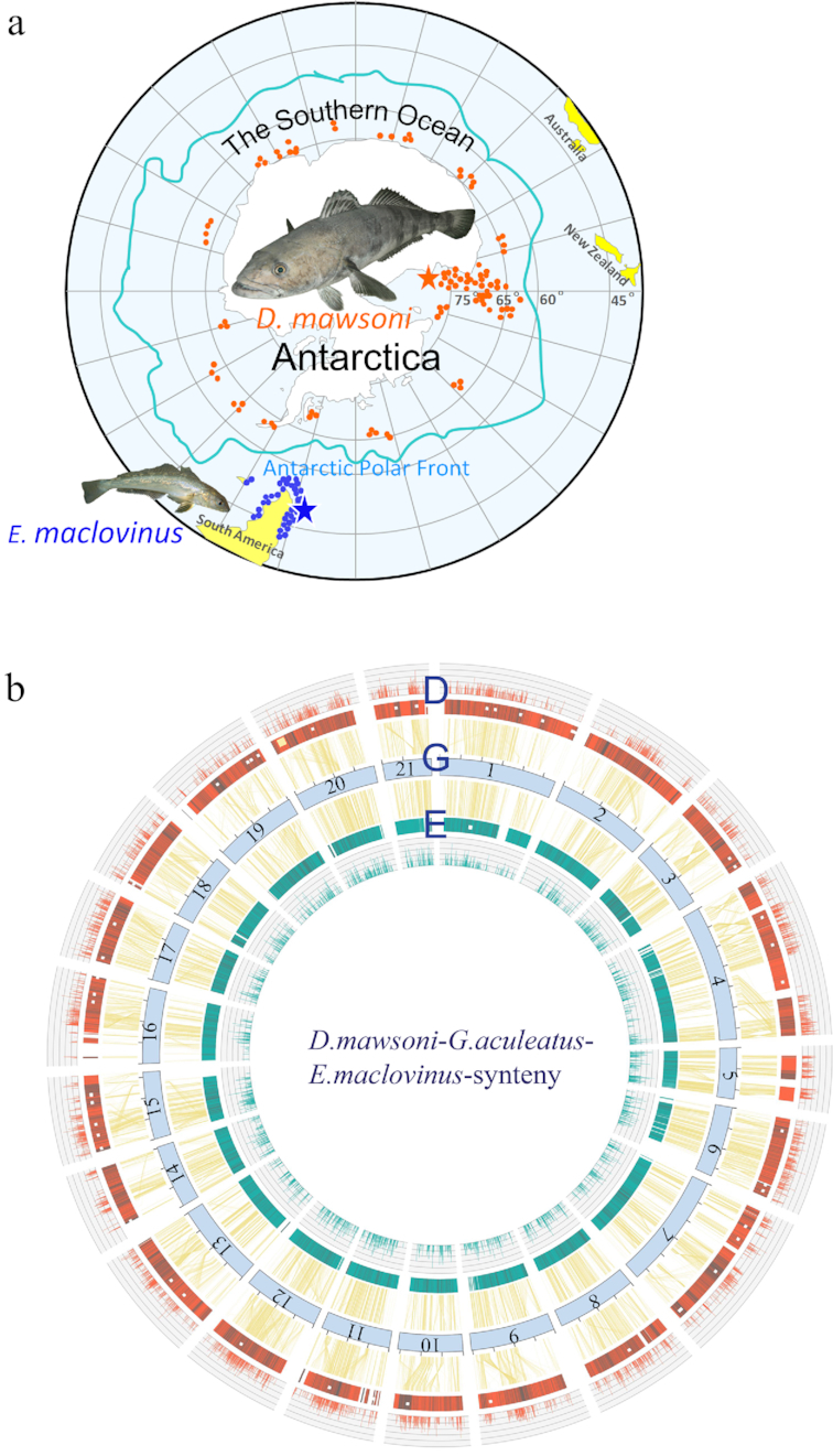 Figure 1: