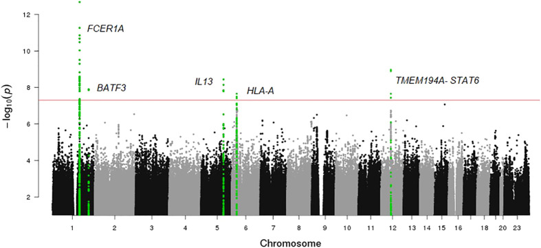 Figure 4