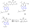 Figure 42