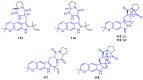 Figure 31