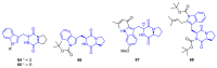 Figure 22