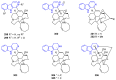 Figure 60
