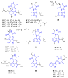 Figure 24